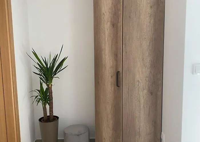 Evergreen Divčibare